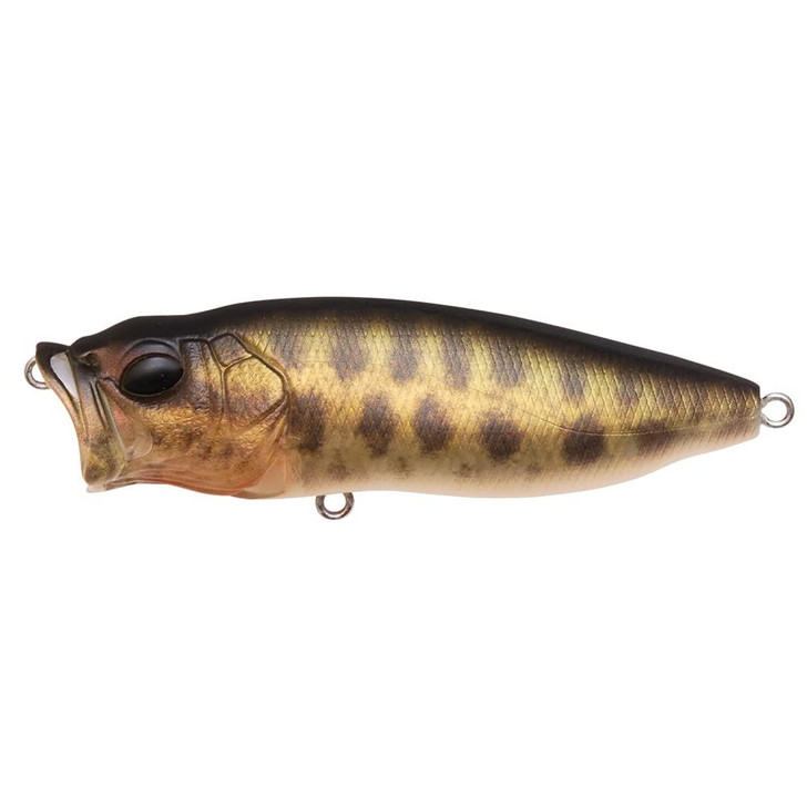 Megabass Pop-Max FA Baby Raigyo