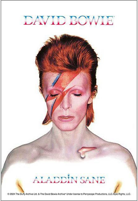 Apollo-sha Jigsaw Puzzle BOWIE ALADDIN SANE (120 Pieces) 