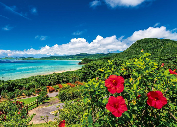 Yanoman Jigsaw Puzzle The sea and hibiscus: Summer in Ishigaki Island (Okinawa) (500 Pieces) 