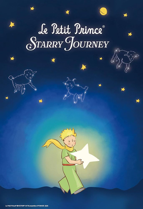 Jigsaw Puzzle A Journey Through the Starry Sky (300 Pieces)