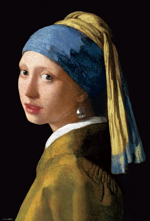 Jigsaw Puzzle The Girl with a Pearl Earring (1000 Pieces)