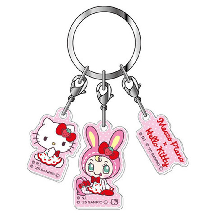 HASEPRO Three Piece Acrylic Key Holder