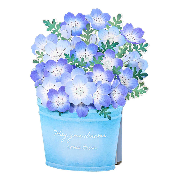 Sanrio Other Message Card Early Summer Nemophila JES 3-6 830348