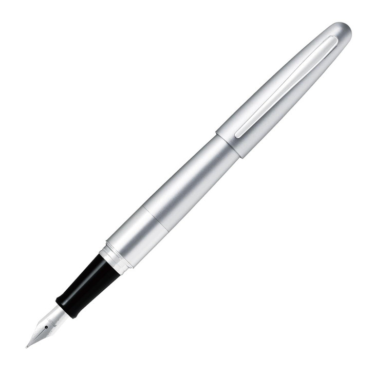 Fountain Pen Cocoon SM