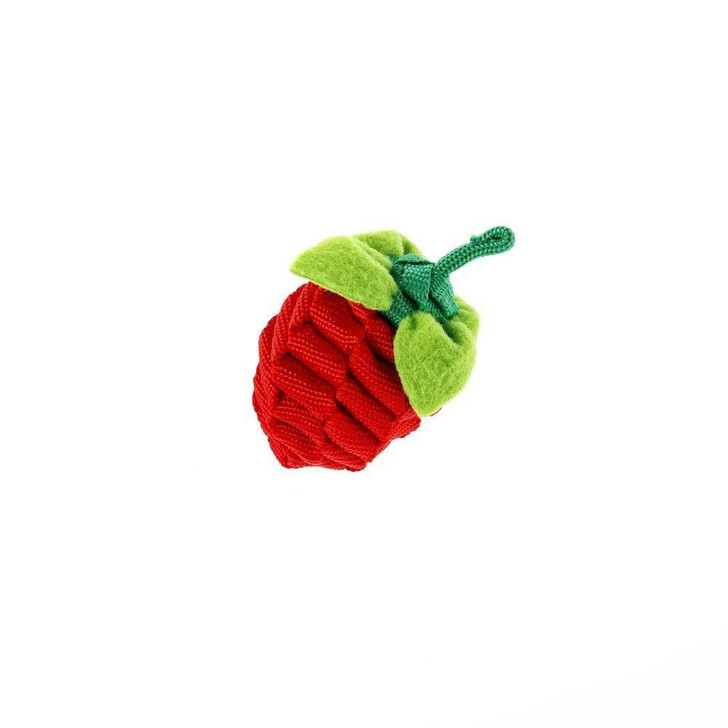 Treat Holding Rope Toy Strawberry