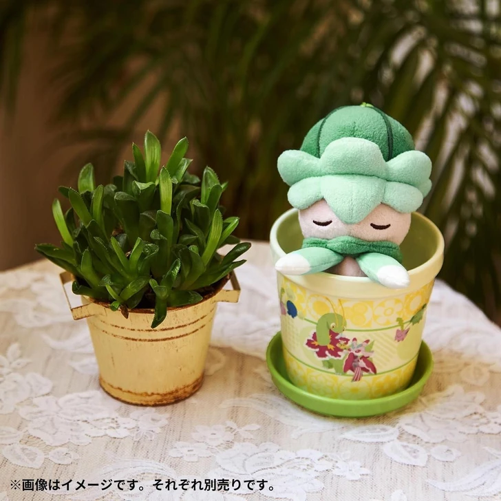  Pokemon Center Original Flower Pot Profuse Bloom 