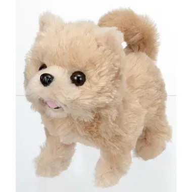 Other 3324-1 Piccoline Pomeranian