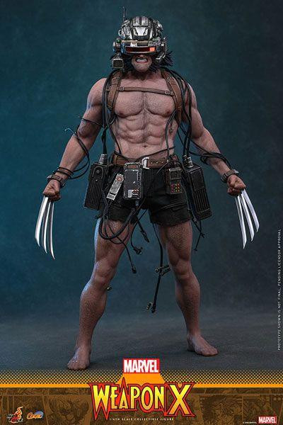  Hot Toys Comic Masterpiece Marvel Comics 1/6 Weapon X Hot Toys 