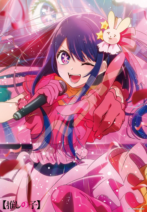 Jigsaw Puzzle - TV Anime Oshi No Ko Unshakable Center (1000 Pieces)