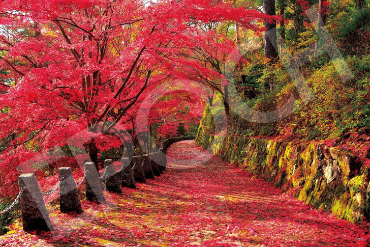Jigsaw Puzzle - Mount Yoshino Autumn Foliage Scenery Nara Very Small Pieces With (2016 Pieces)