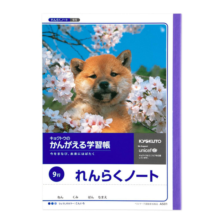 Kyokuto Thinking Study Notebook Communication Notebook 9 Line A501