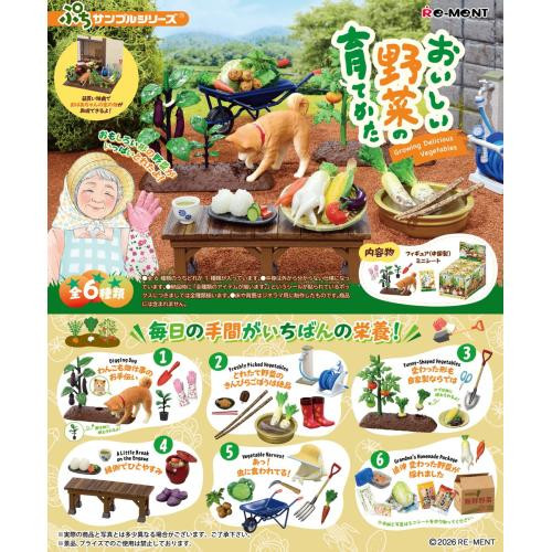  Re-ment Petit Sample - Growing Delicious Vegetables Complete Box (6pcs) 