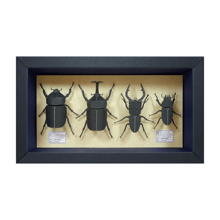 MP11-07 Japamini Insect Specimens Non Scale
