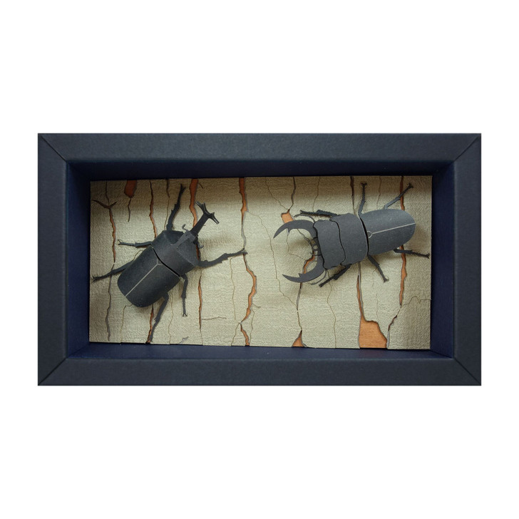 MP11-08 Japamini Rhinoceros Beetle and Giant Stag Beetle Non Scale