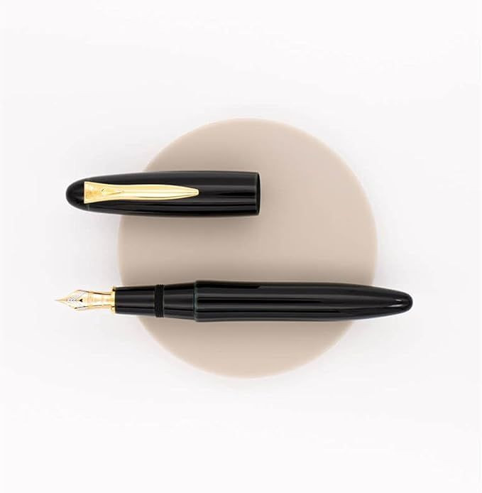 Platinum Pen Izumo Soratame Fountain Pen - Medium Nib
