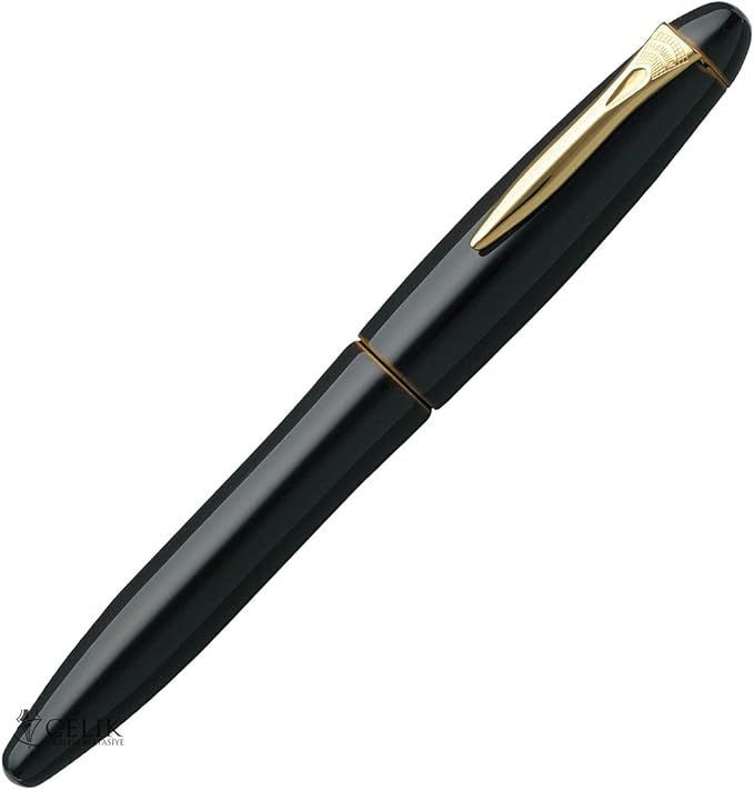 Platinum Pen Izumo Biwatame Fountain Pen - Fine Nib
