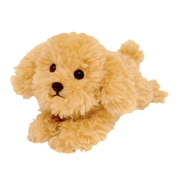 未使用　ソルオル トゥド パサ モデル solol-todopasa model Sunlemon Hizawanko Extra Small Toy Poodle Beige