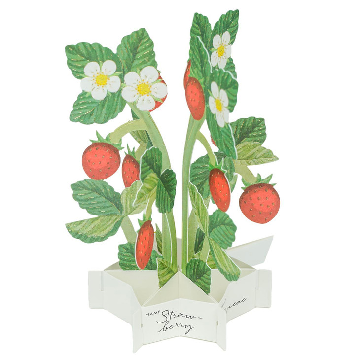 Greeting Life Blooming Card Mini Strawberry KE-58