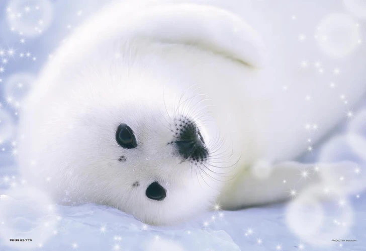 Yanoman Jigsaw Puzzle Lazy Seal (108 Pieces) 