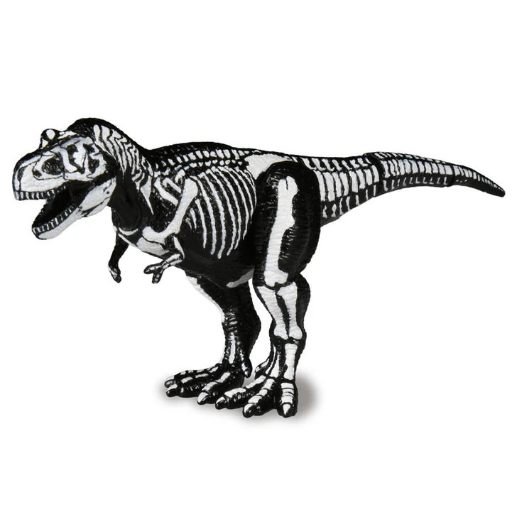 Takara Tomy Ania Tyrannosaurus Skeleton Figure