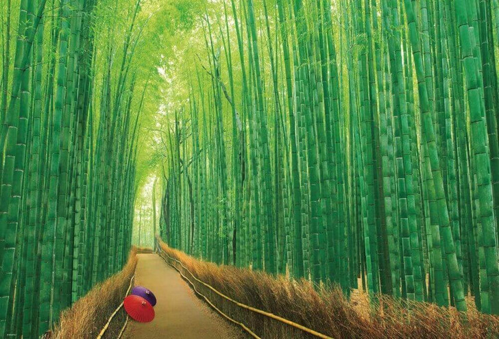 Beverly Jigsaw Puzzle 51-229 Japanese Scenery Bamboo Forest Sagano Kyoto (1000 Pieces)