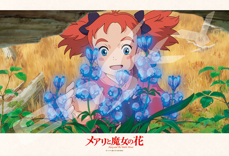 Ensky Jigsaw Puzzle 300-1198 Mary and the Witch's Flower (300 Pieces) (4970381195977)
