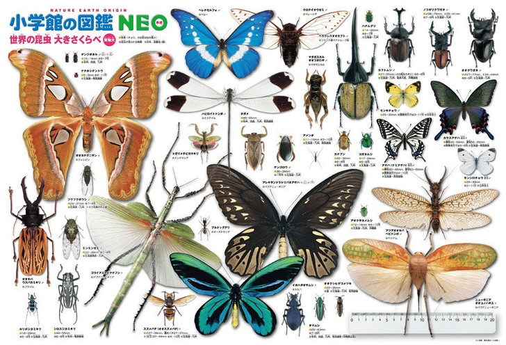 Beverly Jigsaw Puzzle B61-423 World Insects Encyclopedia (1000 Pieces) (4977524614234)