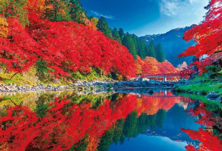 Beverly Jigsaw Puzzle 51-230 Autumn Leaves Korankei Japan (1000 Pieces)