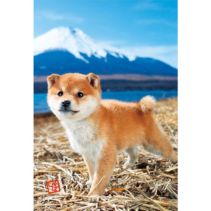 Beverly Jigsaw Puzzle L74-162 Pretty Pet Series Dog Shiba Inu (150 L-Pieces)