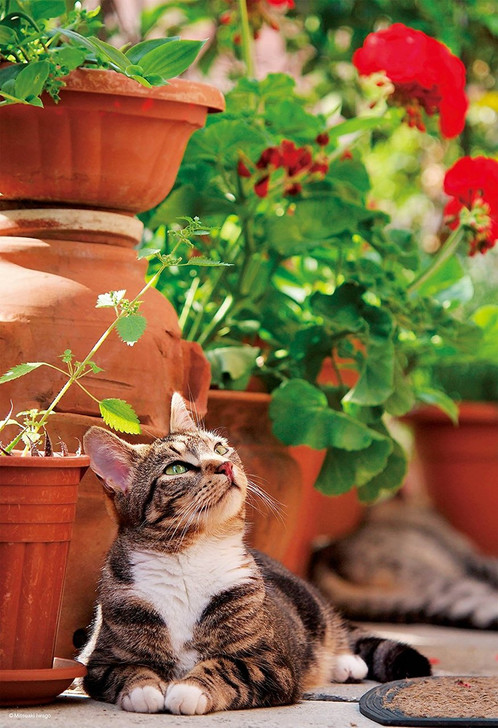 Epoch Jigsaw Puzzle 26-272 Mitsuaki Iwago Cat (300 Pieces)