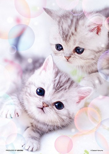 Beverly Jigsaw Puzzle P108-819 Pretty Pet Series Cat (108 Pieces) (4977524588191)
