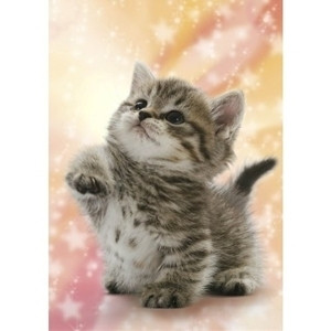 Epoch Jigsaw Puzzle 04-530 Cat (216 S-Pieces) (4977389045303)
