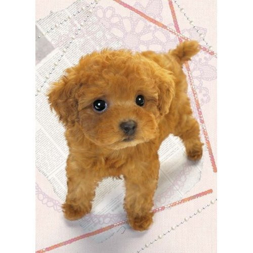 Epoch Jigsaw Puzzle 04-532 Dog (216 S-Pieces) (4977389045327)