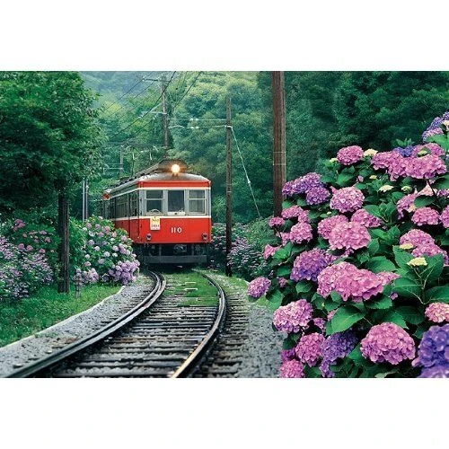 Epoch Jigsaw Puzzle 26-217 HakOne Moutain Railway Japan (300 Pieces)