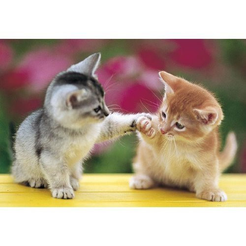 Epoch Jigsaw Puzzle 08-533 Cat (450 S-Pieces) (4977389085330)