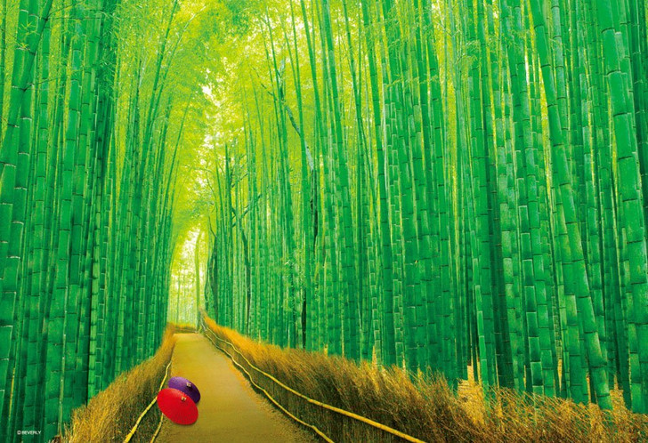 Beverly Jigsaw Puzzle 33-150 Saga Bamboo Forest Kyoto Japan (300 Pieces)