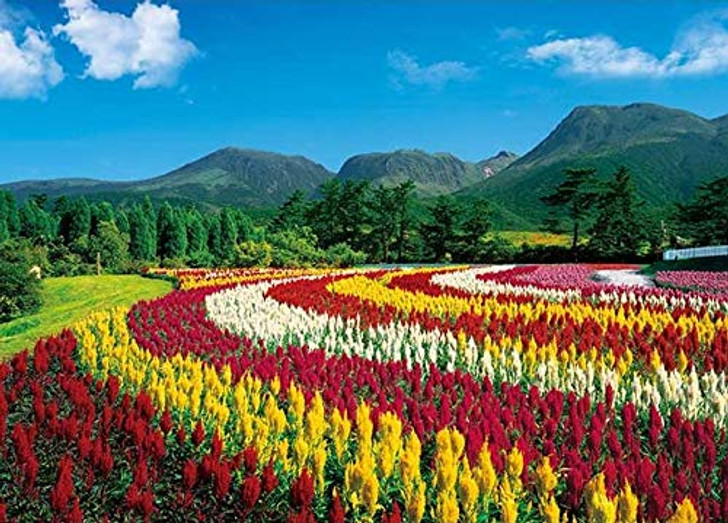 APPLEONE Jigsaw Puzzle 500-253 Celosia Argentea Mount Kuju Oita Japan (500 Pieces)