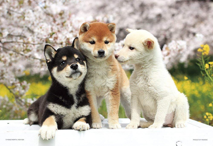 Yanoman Jigsaw Puzzle 03-883 Shiba Inu Dog Friends (300 Pieces)