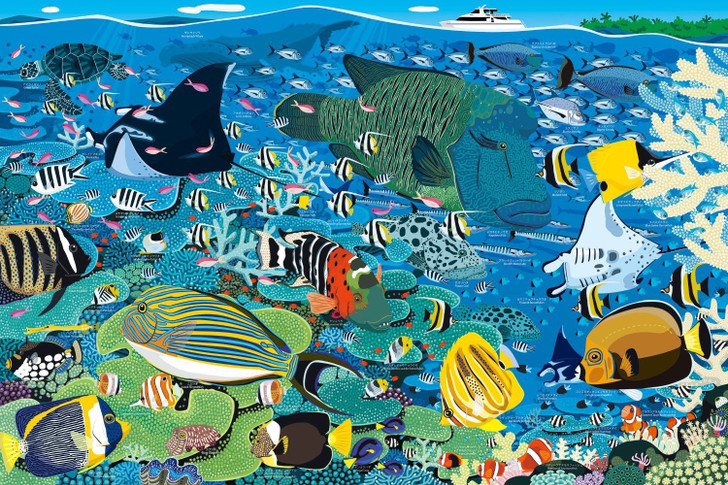 Epoch Jigsaw Puzzle 11-544 Great Barrier Reef, Australia (1000 Pieces)