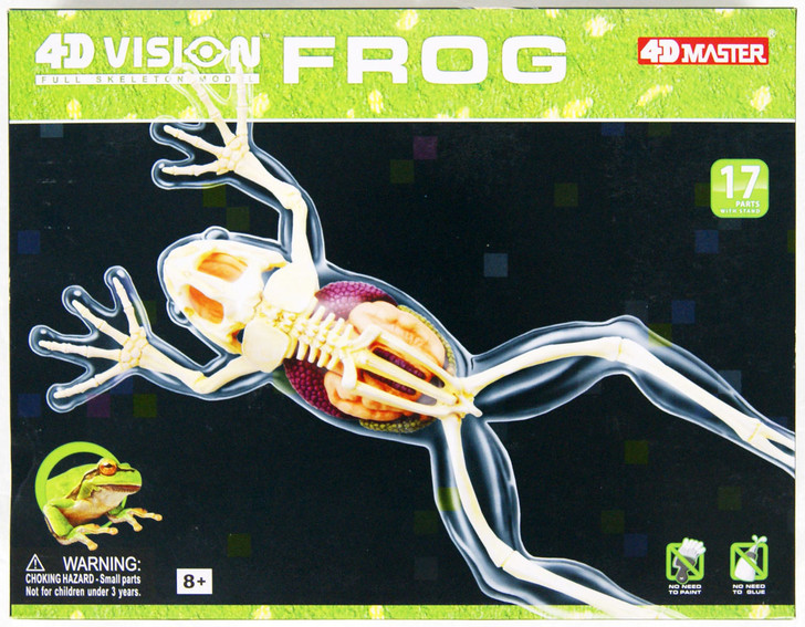 Aoshima 4D Vision No.13 Frog Anatomy Model | PlazaJapan