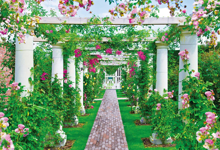 Epoch Jigsaw Puzzle 25-185 Beautiful English Rose Garden (300 Pieces)