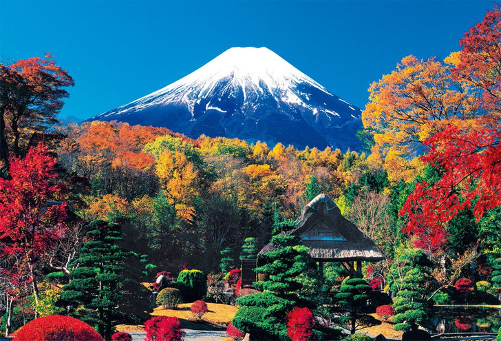 Beverly Jigsaw Puzzle 51-224 World Heritage Oshino Fuji in Autumn Color (1000 Pieces)