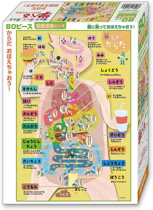 Beverly Jigsaw Puzzle 80-005 Body Parts (80 L-Pieces)