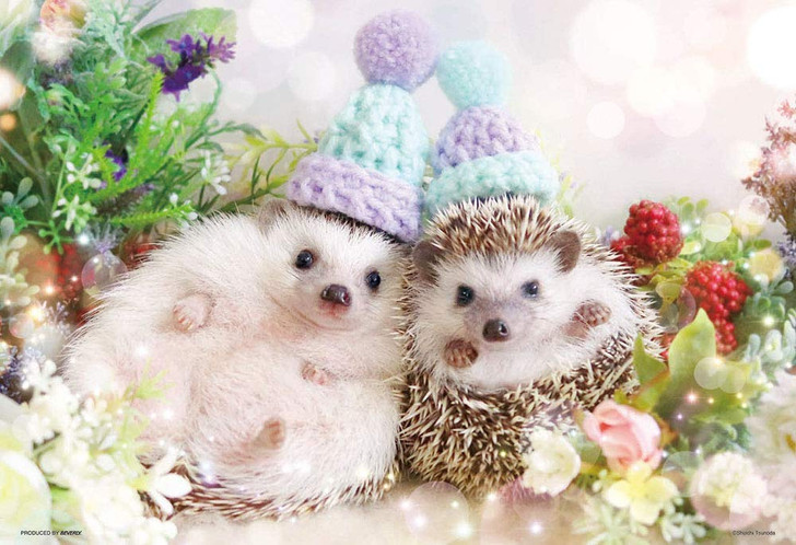 Beverly Jigsaw Puzzle P33-182 Azuki and Monaka the Hedgehog (300 Pieces)