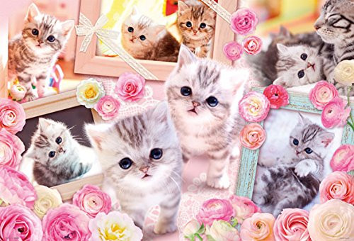 Beverly Jigsaw Puzzle P61-425 Cute Cats (1000 Pieces)
