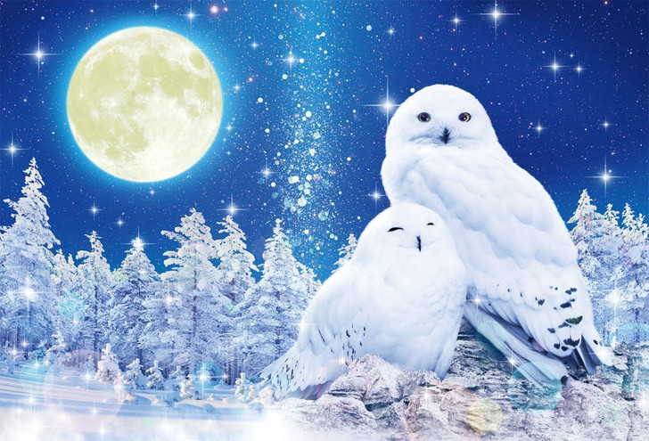 Beverly Jigsaw Puzzle 91-129 Glows in the Dark Wilfar Lucky White Owl (1000 Pieces)