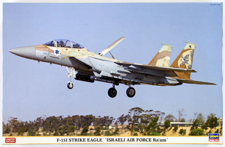 Hasegawa 07353 F-15I Strike Eagle Israeli Air Force Ra'am 1/48 Scale Kit (4967834073531)