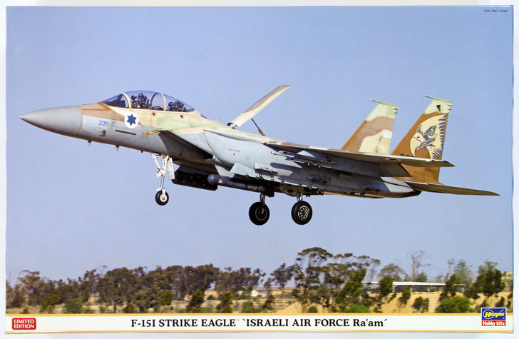 Hasegawa 07353 F-15I Strike Eagle Israeli Air Force Ra'am 1/48 Scale Kit