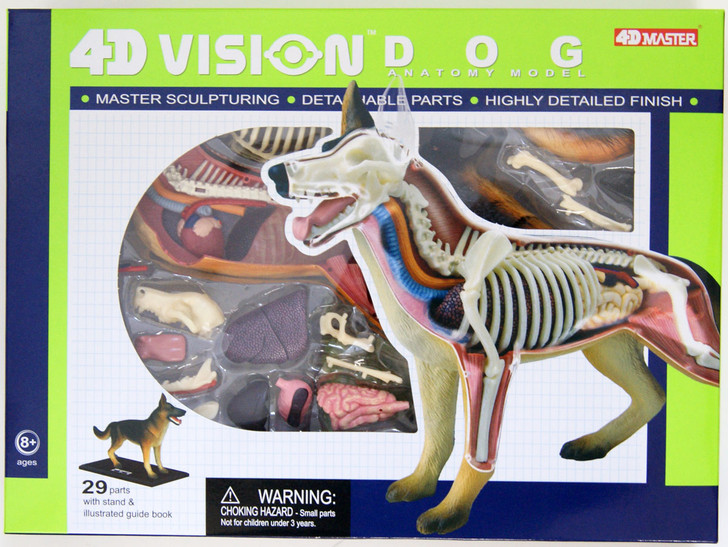 Aoshima 107102 4D Vision No.18 Dog Anatomy Model