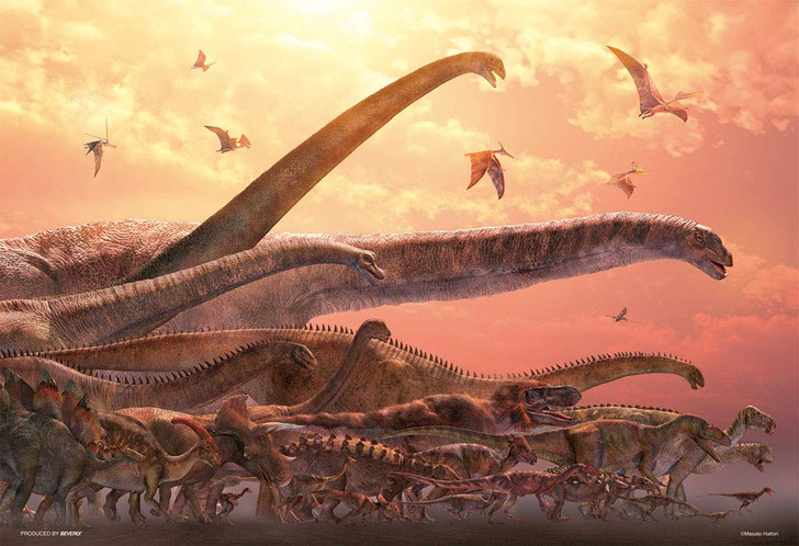 Beverly Jigsaw Puzzle 93-155 Masato Hattori Dinosaur (300 Pieces)